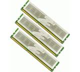 Arbeitsspeicher (RAM) im Test: Platinum Low-Voltage 6GB DDR3-1600 Kit (OCZ3P1600LV6GK) von OCZ, Testberichte.de-Note: 1.6 Gut