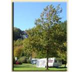 Campingplatz im Test: Camping Parc La Clusure von Belgien, Testberichte.de-Note: ohne Endnote