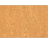 Mehrschichtiger Bodenbelag im Test: LinoColor, Terracotta (Farbton 28) von Corpet Cork, Testberichte.de-Note: 4.0 Ausreichend