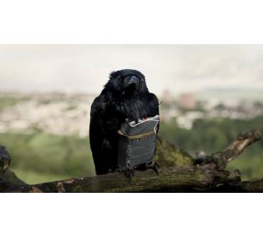 Produktbild Blu-ray Four Lions