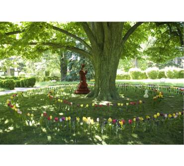 Produktbild DVD Phoebe im Wunderland