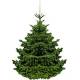 Weihnachtsbaum Test
