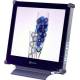 Monitor Testberichte