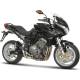 Benelli TreK 899 (Modell 2009) (79 kW)