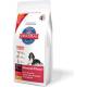 Hundefutter Test