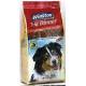 Hundefutter Test