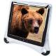 Monitor Testberichte