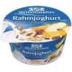 Joghurt Testberichte