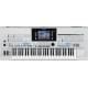 Synthesizer, Workstations & Module Test