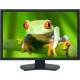Monitor Testberichte