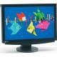 Monitor Testberichte
