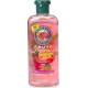 Shampoo Testberichte