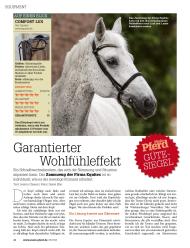 Mein Pferd: Garantierter Wohlfühleffekt (Ausgabe: 8)
