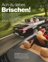 auto motor und sport: Ach du liebes Brischen! (Ausgabe: 20)