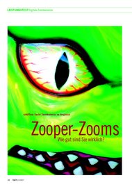FACTS: Zooper-Zooms - wie gut sind Sie wirklich? (Ausgabe: 3)