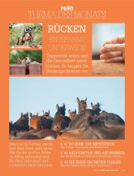 Mein Pferd: Thema des Monats: Rücken - Entspannt unterwegs (Ausgabe: Nr. 10 (Oktober 2012))