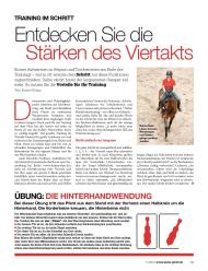 Mein Pferd: Entdecken Sie die Stärken des Viertakts (Ausgabe: Nr. 11 (November 2012))