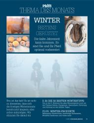 Mein Pferd: Thema des Monats: Winter - bestens gerüstet (Ausgabe: Nr. 11 (November 2012))