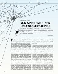 BÜCHER: Von Spinnennetzen und Wassersteinen (Ausgabe: 5/2012 (September/Oktober))