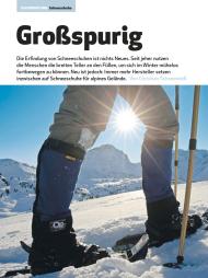 Bergsteiger: Großspurig (Ausgabe: 1)