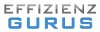 EffizienzGurus.de