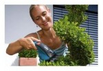 Gardena Accu-Buchsschere