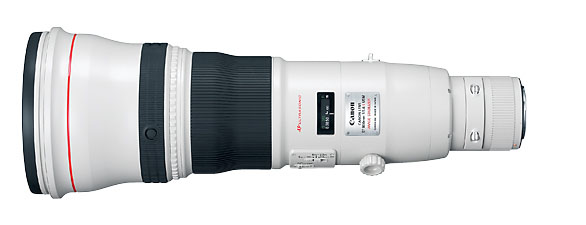 Canon 800mm f/5.6L IS USM im Test | Unsere Analyse zum Teleobjektiv