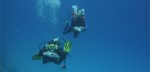 img286x138_p1000097