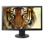eizo1