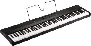 Korg Liano L1