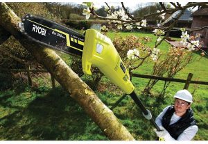 Hochentaster RPP750S von Ryobi 