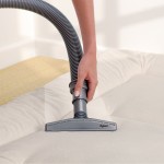 Die Spezial-Milbendüe des Dyson DC37