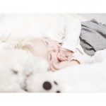 Staubsauger mit ultraleisen 61 dB(A): AEG Ultra Silencer ENERGY