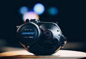 Der SyncDrive-Motor von Yamaha zeigt sich kraftvoll, setzt den Antriebskomponenten aber zu. (Bildqelle: giant-bicycles.com)