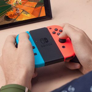Nintendo Switch Handheld
