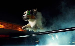 Der Augen-Autofokus beim Sony Xperia Pro-I kommt von den Sony Alpha Kameras.