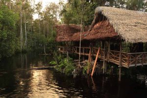 Waldschutzprojekt in Kolumbien