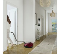 Produktbild AEG SilentPerformer Allergy&Animal Care ASP7150