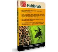 Produktbild Akvis MultiBrush v.4.0
