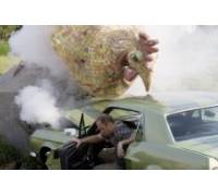 Produktbild DVD Contact High