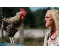 Produktbild DVD Contact High