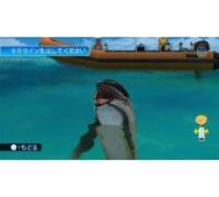 Produktbild Endless Ocean 2: Der Ruf des Meeres (für Wii)