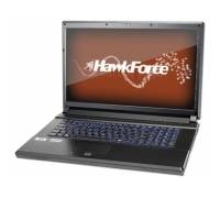Produktbild Hawkforce Luna P170EM (Core i7-2760QM, GeForce GTX 675M, 8GB RAM, 640GB HDD, 120GB SSD)