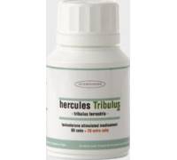 Produktbild Interpharma Hercules Tribulus