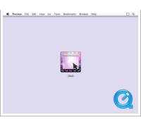 Produktbild Irradiated Software Cinch