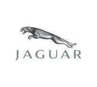 Produktbild Jaguar Markenimage