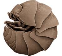 Produktbild Keka 0.1.3.2 (für Mac)