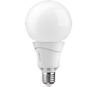 Produktbild Ledon Lamp G95 10W