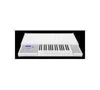 Produktbild Manikin Electronic Memotron