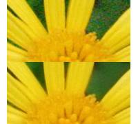 Produktbild PictureCode Noise Ninja Pro Bundle 2.3.6